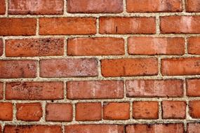 bricks wall brick red