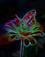 flower butterfly light effect