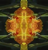 geometric pattern kaleidoscope