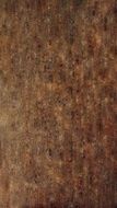 texture wood structure background