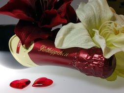bottle of champagne flowers and hearts romantic day