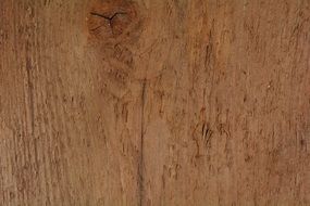 wood grain structure old texture