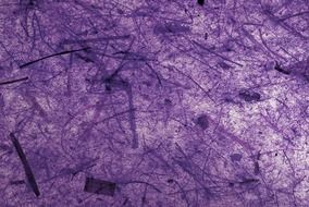 paper background banana bark dark