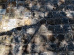 cobblestones roadway bricks stone