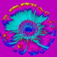 retro colorful pattern