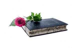 flower flowers rose book love