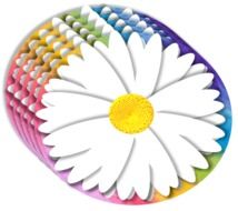 daisy 3d element rainbow