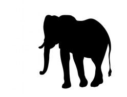 elephant animal big black