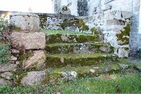 stone steps moss covered