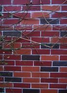 aesthetic brick wall