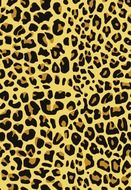 animal fur skin pattern form