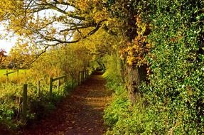 peaceful autumn day in countryside
