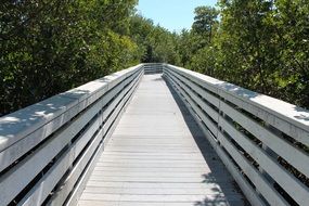 boardwalk deck perspective wood
