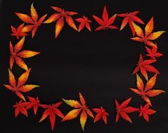 autumn background dark frame color