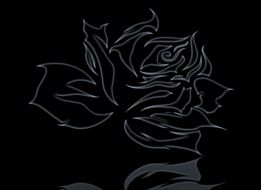 abstract rose black background