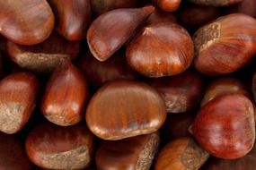 brown chestnut fruit