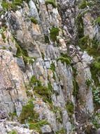 stone wall gray green cliff color