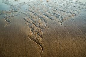 beach long reef sydney australia