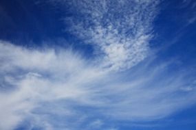 white feather clouds against a bright sky