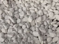 pebble white background stones