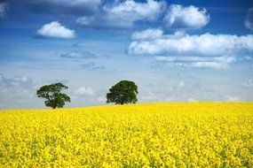 background blue clear cloud