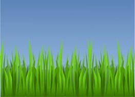 grass landscape wallpaper
