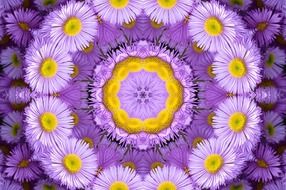 background floral flower purple