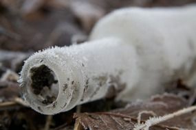 frozen bottle fallen lost ice