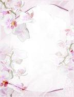 stationery orchid purple background