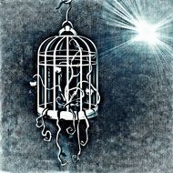 plant in a bird cage on a grunge background