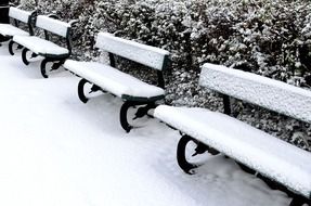 Wooden benches in the snow