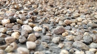 stones on the soil
