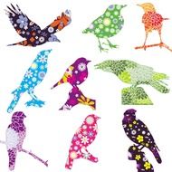 bird birds floral flowers flowery