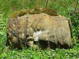 stone statue head moss old