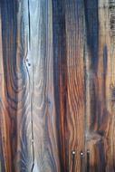 wood grain detail texture