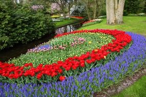 garden in holland colorful flowers tulips