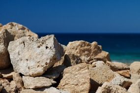 blue coast group nature ocean