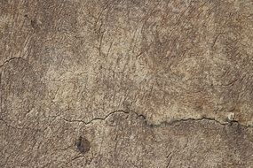 wall stone background structure