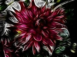 flowers abstract color art fractal
