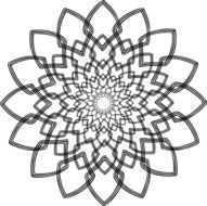 flowers abstract white floral