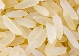 rice paddy grain corn meal food