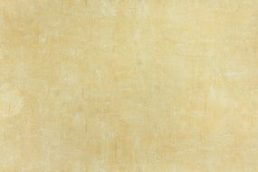 light beige texture of wallpaper