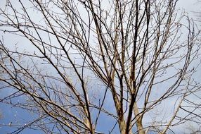 blue sky fresh wind