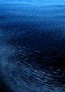sea water wave the river ripple