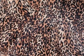 leopard skin as background