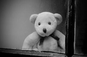 window glass dirt dust teddy