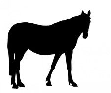 horse black silhouette animal