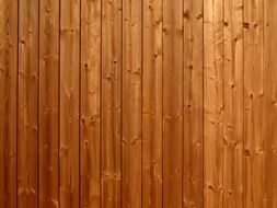 wooden boards surface texture