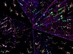 abstract background purple glitter