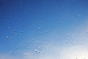 drops after the rain blue sky